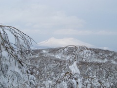 11樹氷の中の駒ヶ岳