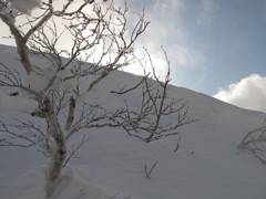 8　山頂直下の急登（氷化してる）