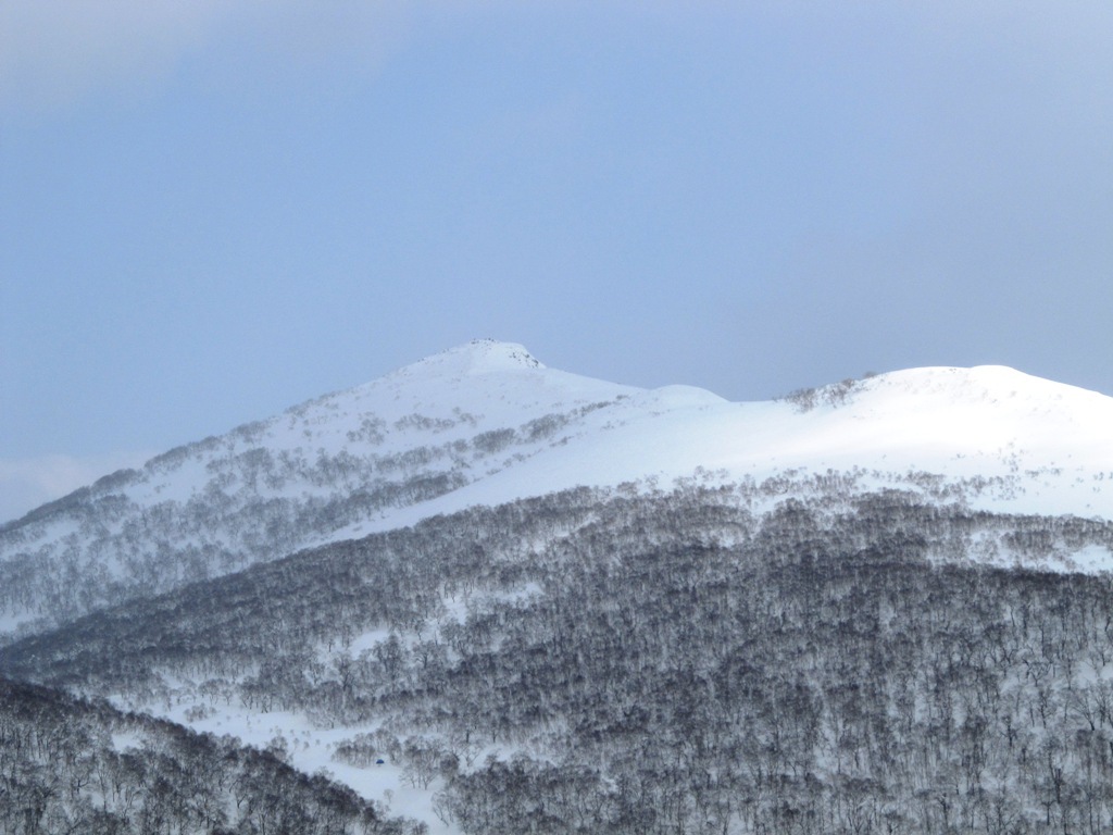 白樺山