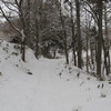 IMG_0003