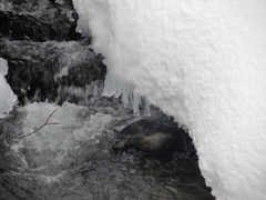 12厳寒の流れ