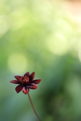 まだ春は来ない