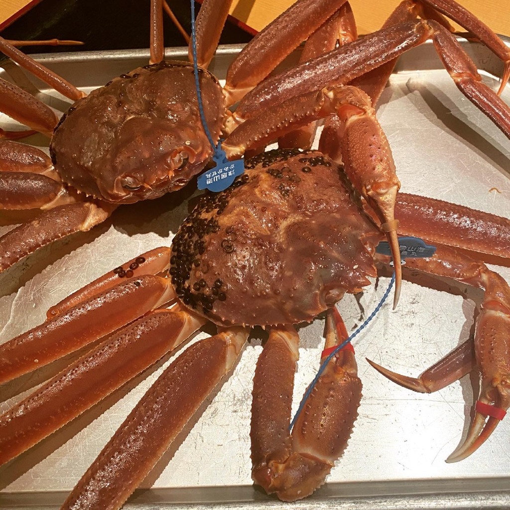 タグ付きカニ①