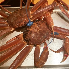 タグ付きカニ①