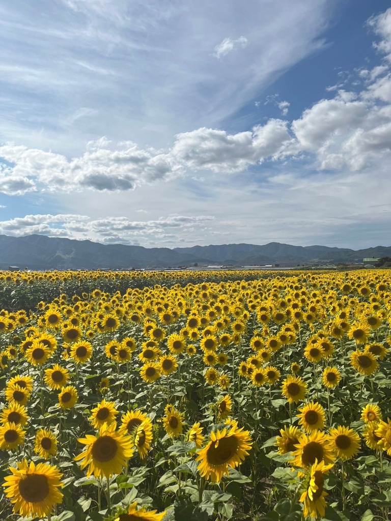 岩崎章浩の旅三昧