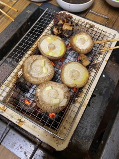 自宅しいたけ
