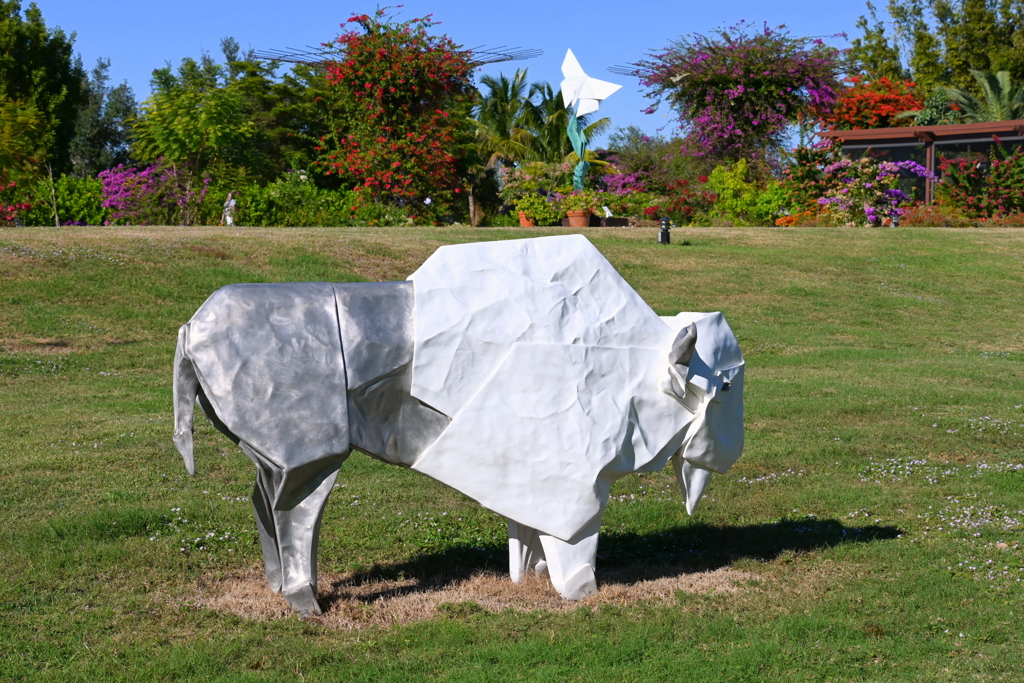 The Butterfly and the Bison  12-16-25