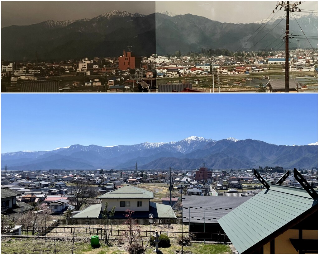1984 vs 2024