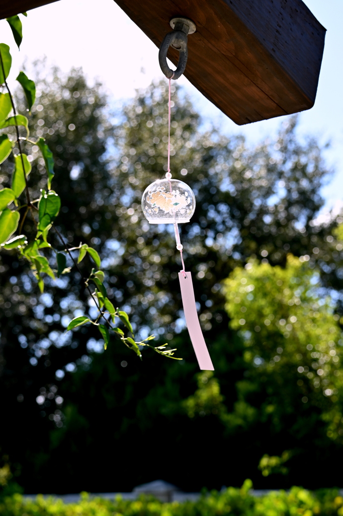 ふうりん　12-16-25