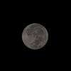 Blue Moon II 8-31-23