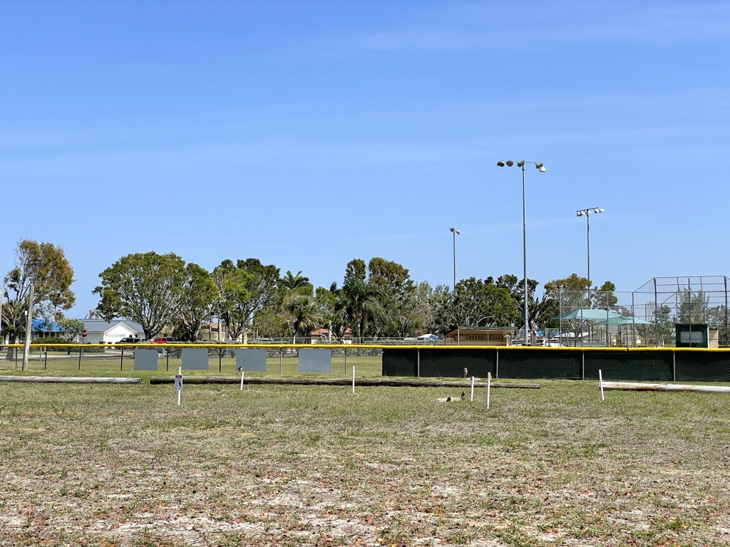 Koza-Saldino Park Nesting Site II 4-27-2