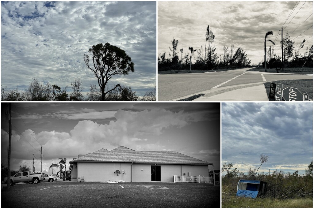 From My Walk October 2022