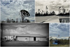 From My Walk October 2022