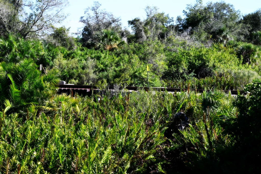 Railroad Track 12-16-25