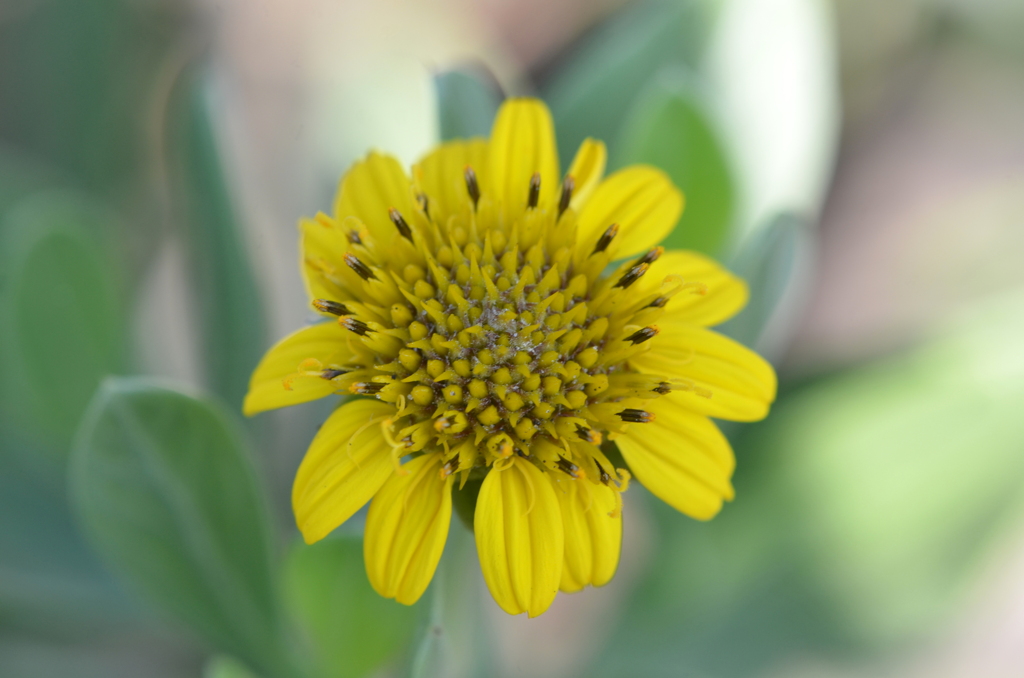 Sea Marigold III 5-10-23