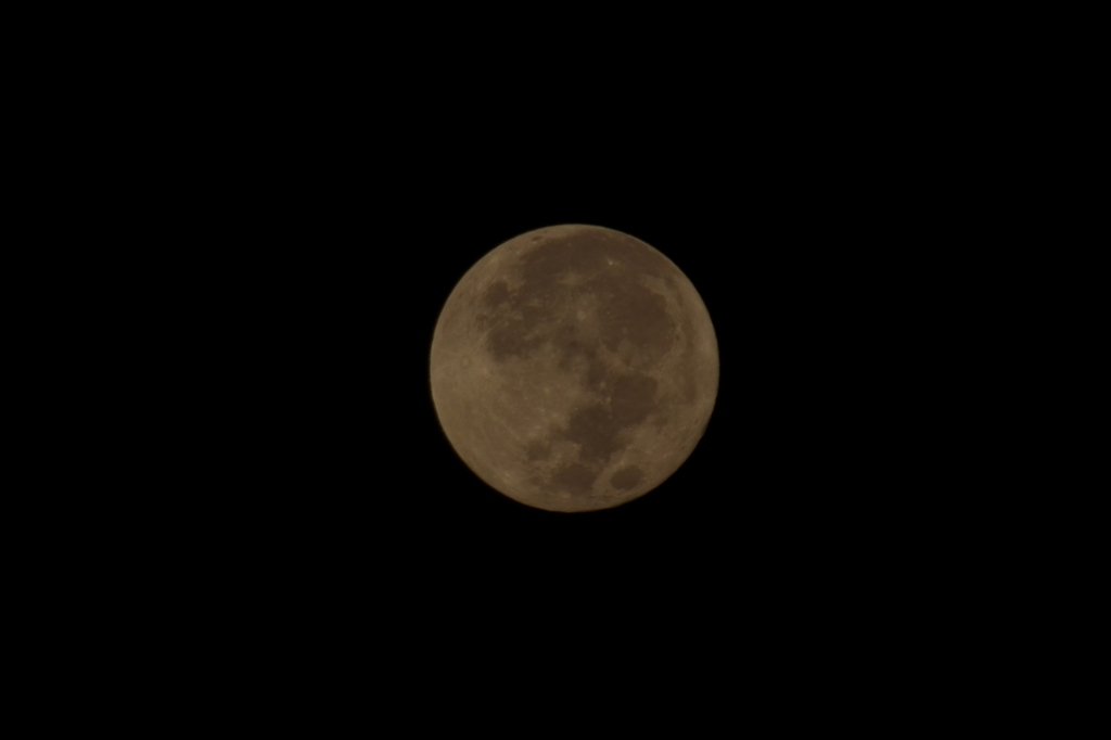 Blue Moon III 8-31-23
