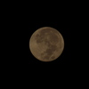 Blue Moon III 8-31-23