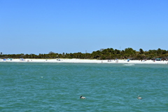 Pelicans 3-26-25