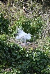 さんにん　1-30-26