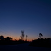 Dawn II 8-8-23
