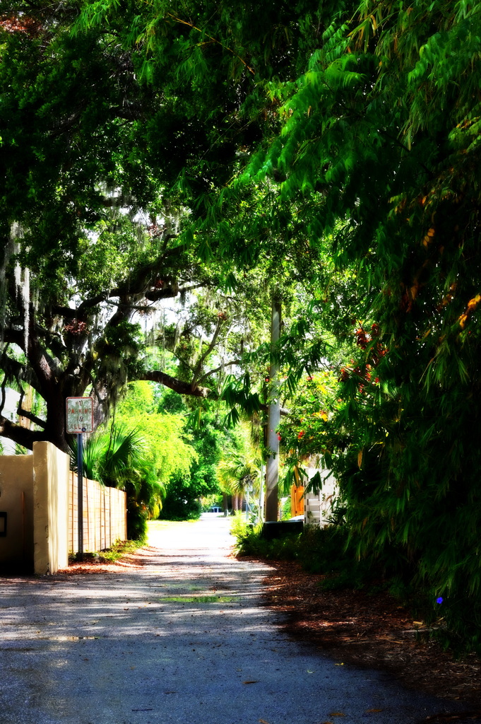 The Path 5-29-25