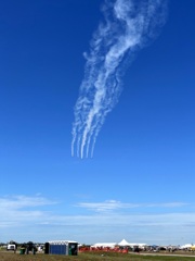 飛んで行った　　11-2-25