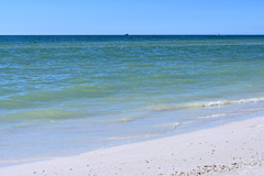 The Gulf 11-26-24