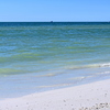 The Gulf 11-26-24