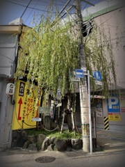 花街だったそうな　2024-4-18