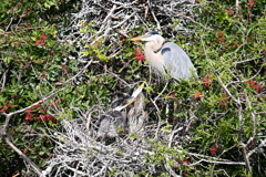 かいじゅうみたい　1-30-26