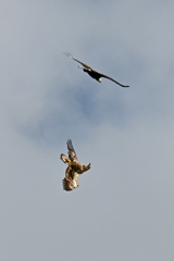 迎撃態勢　2-26-26