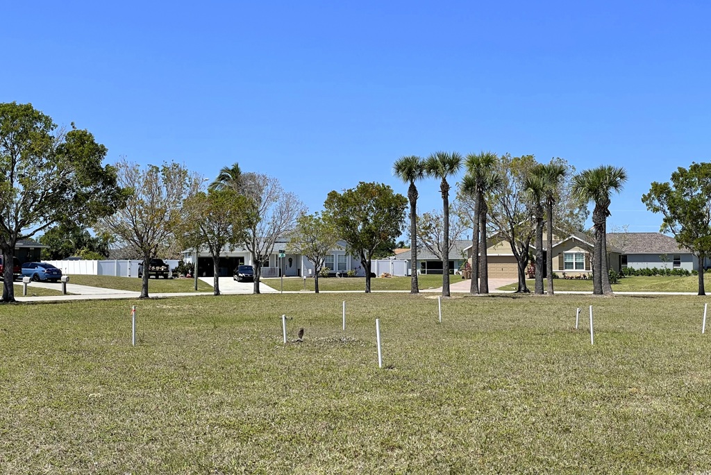 Koza-Saladino Park 4-10-25