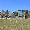Koza-Saladino Park 4-10-25