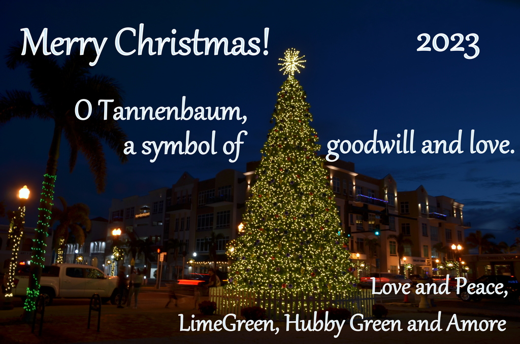 Xmas Card 2023
