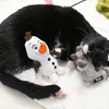 Olaf too　12-26-24