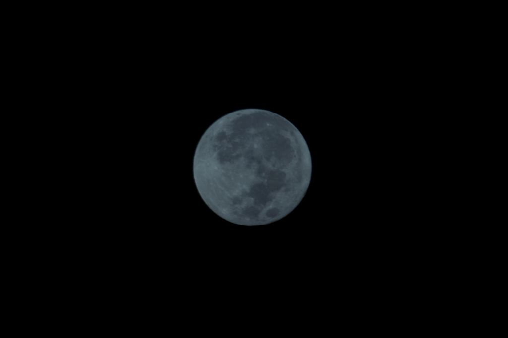 Blue Moon IV 8-31-23