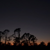 Dusk II 12-5-22