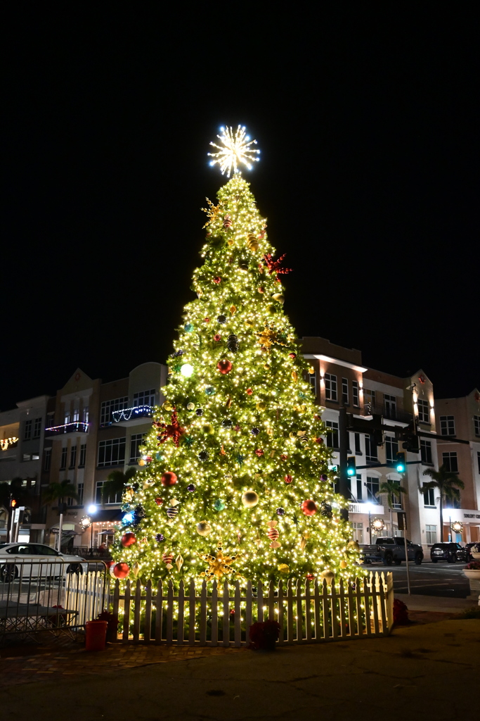 昨晩点灯　12-6-25