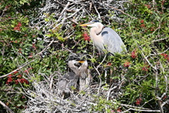 小競り合い　1-30-26