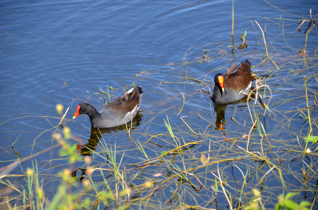 Husband and Wife 1-24-23