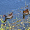 Husband and Wife 1-24-23