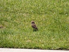 Female Taking a Break 4-10-25