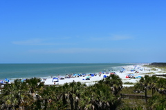 Warm Sunshine 3-26-25