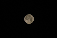 0708 Goodbye Full Moon 3-14-25
