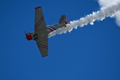 Warbird Thunder #1 10  11-2-25