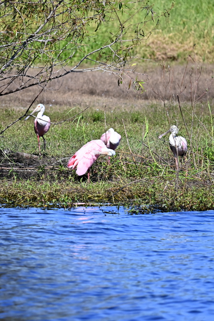 器用だね　10-15-25
