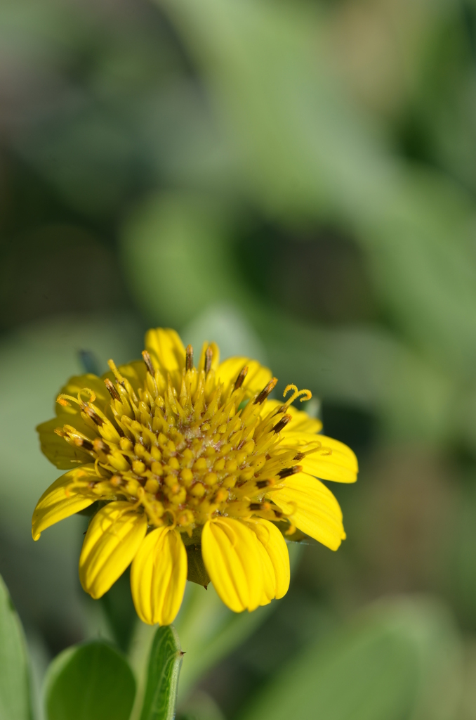 Sea Marigold I 5-10-23