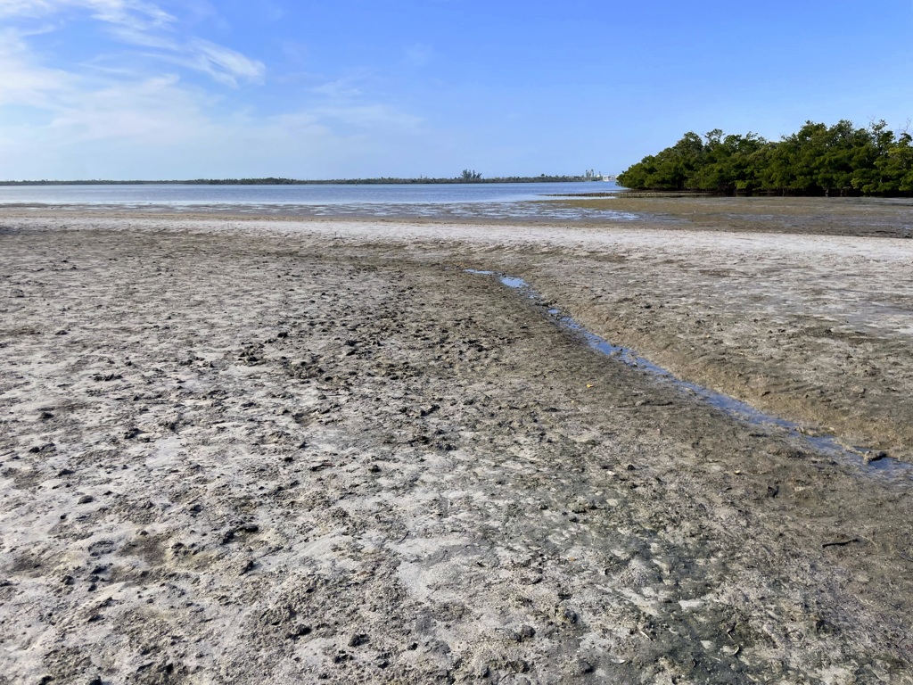 Mud Flat 1-18-26