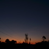 Dawn I 8-8-23