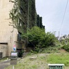 097 交住入り口バス停 2024-4-17